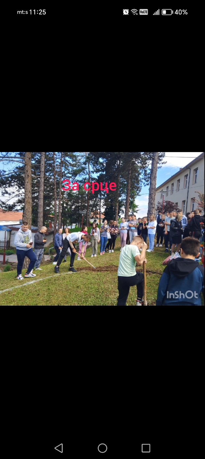 Цветни дан у име заједништва и љубави