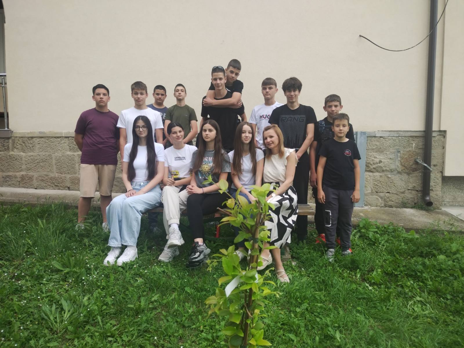 Дрво генерације 2011. Гружа